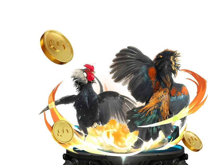 Tổng quan các dịch vụ 39bet win